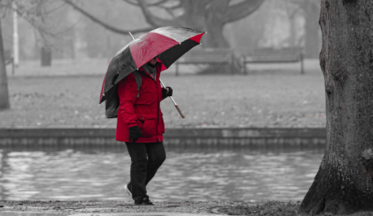 Study warns climate change may fuel spread of Leptospirosis in Europe