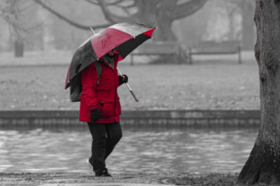 Study warns climate change may fuel spread of Leptospirosis in Europe